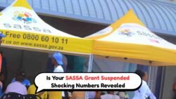 SASSA Suspends Grants: Beneficiaries Urged to Verify Status Immediately