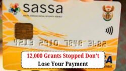 Alert: SASSA Halts 12,000 Grants Pending Immediate Action
