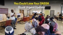 SASSA Grant Shock: Are You Among Those Facing Suspension?