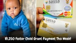 Is Your R1,250 SASSA Foster Grant Approved for September 5?