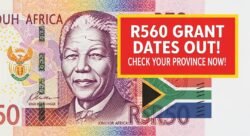 R560 Child Support Grant September 2025 โ Full Province-Wise Payment Dates Released Now